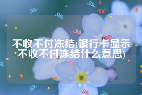 不收不付冻结(银行卡显示不收不付冻结什么意思)