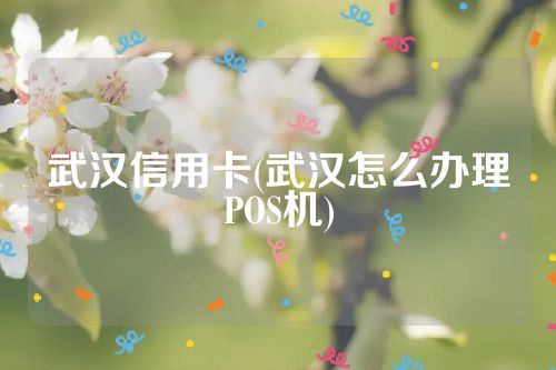 武汉信用卡(武汉怎么办理POS机)