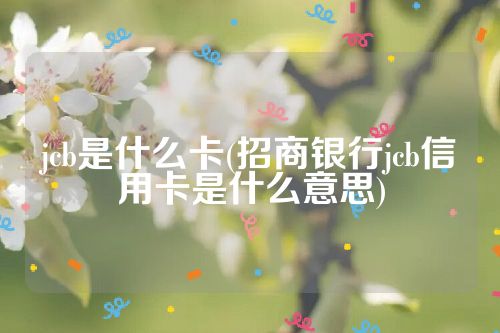 jcb是什么卡(招商银行jcb信用卡是什么意思)