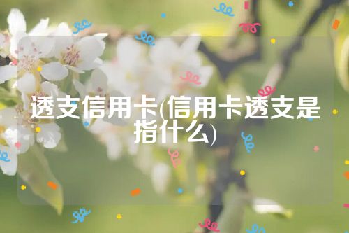 透支信用卡(信用卡透支是指什么)