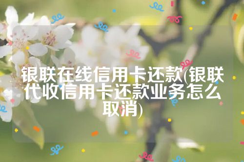 银联在线信用卡还款(银联代收信用卡还款业务怎么取消)