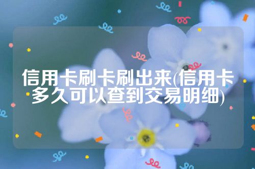 信用卡刷卡刷出来(信用卡多久可以查到交易明细)