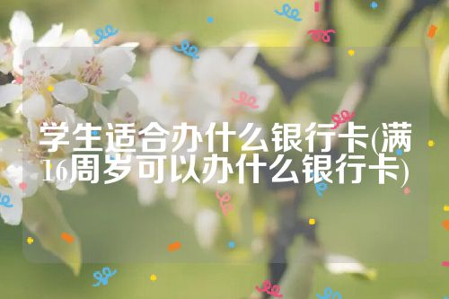 学生适合办什么银行卡(满16周岁可以办什么银行卡)