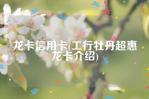 龙卡信用卡(工行牡丹超惠龙卡介绍)