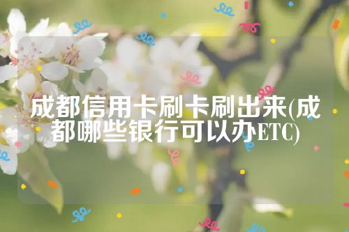 成都信用卡刷卡刷出来(成都哪些银行可以办ETC)