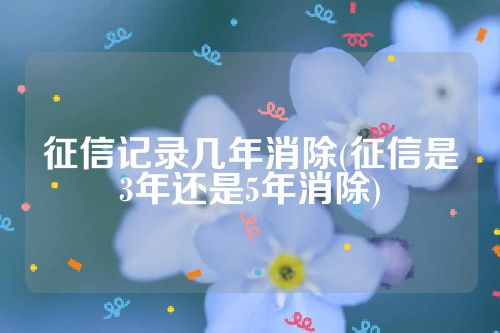 征信记录几年消除(征信是3年还是5年消除)