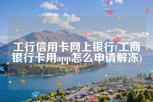 工行信用卡网上银行(工商银行卡用app怎么申请解冻)