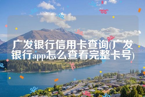 广发银行信用卡查询(广发银行app怎么查看完整卡号)