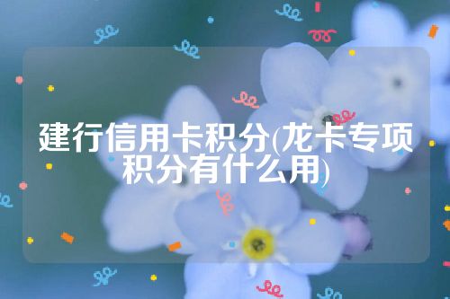 建行信用卡积分(龙卡专项积分有什么用)