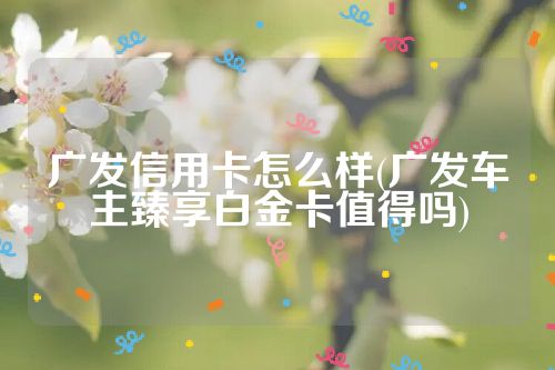 广发信用卡怎么样(广发车主臻享白金卡值得吗)