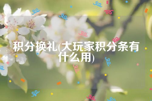 积分换礼(大玩家积分条有什么用)