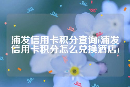 浦发信用卡积分查询(浦发信用卡积分怎么兑换酒店)