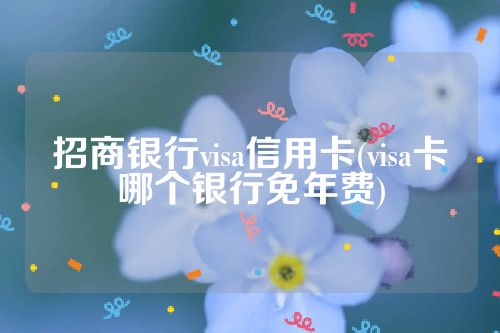 招商银行visa信用卡(visa卡哪个银行免年费)