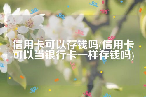 信用卡可以存钱吗(信用卡可以当银行卡一样存钱吗)