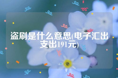 盗刷是什么意思(电子汇出支出191元)