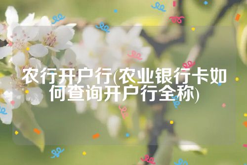 农行开户行(农业银行卡如何查询开户行全称)