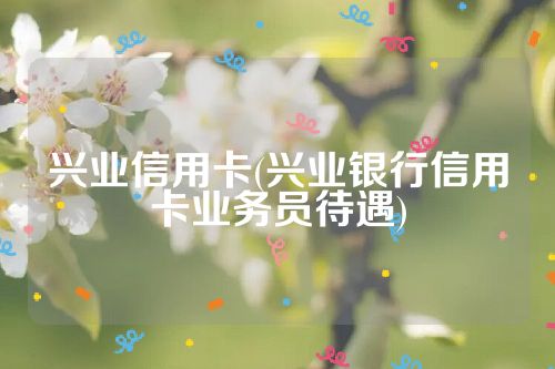 兴业信用卡(兴业银行信用卡业务员待遇)