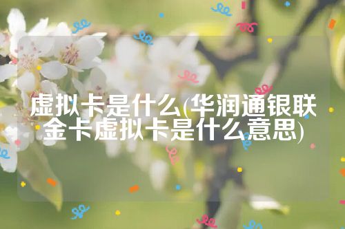 虚拟卡是什么(华润通银联金卡虚拟卡是什么意思)