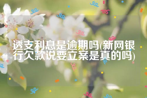 透支利息是逾期吗(新网银行欠款说要立案是真的吗)