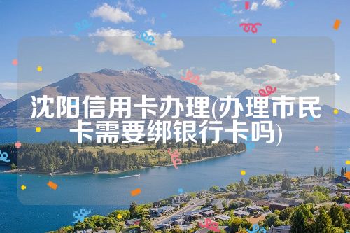 沈阳信用卡办理(办理市民卡需要绑银行卡吗)