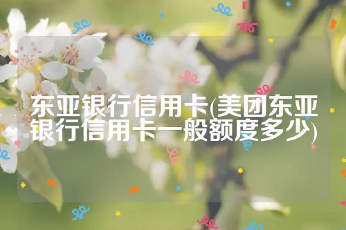 东亚银行信用卡(美团东亚银行信用卡一般额度多少)