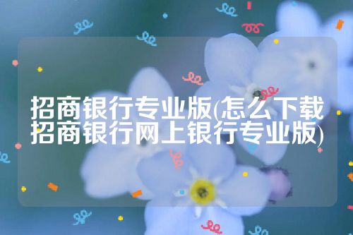 招商银行专业版(怎么下载招商银行网上银行专业版)