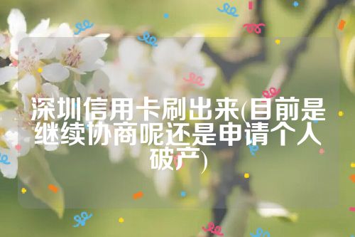 深圳信用卡刷出来(目前是继续协商呢还是申请个人破产)