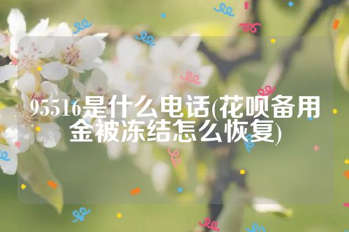 95516是什么电话(花呗备用金被冻结怎么恢复)