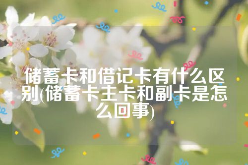 储蓄卡和借记卡有什么区别(储蓄卡主卡和副卡是怎么回事)