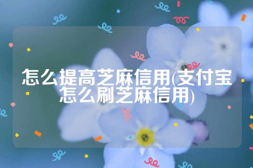 怎么提高芝麻信用(支付宝怎么刷芝麻信用)