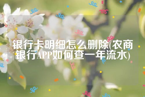 银行卡明细怎么删除(农商银行APP如何查一年流水)