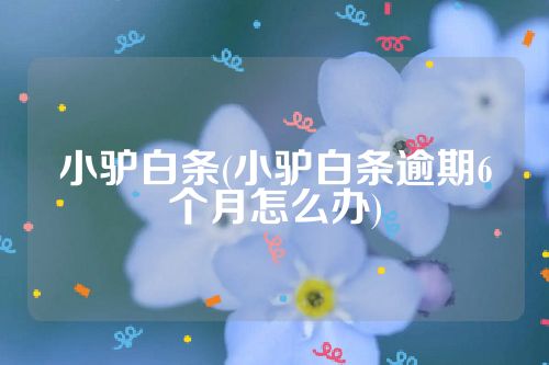 小驴白条(小驴白条逾期6个月怎么办)