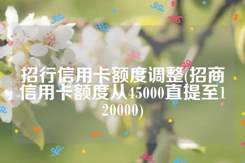 招行信用卡额度调整(招商信用卡额度从45000直提至120000)