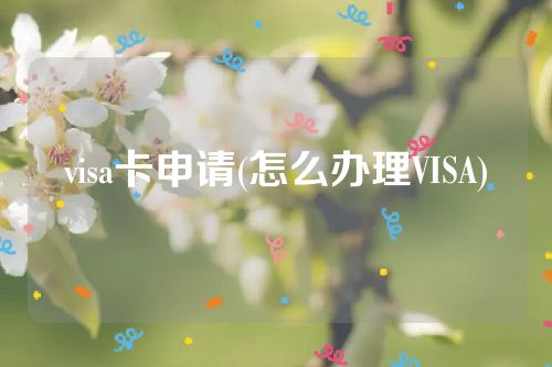 visa卡申请(怎么办理VISA)