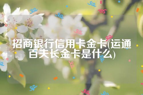 招商银行信用卡金卡(运通百夫长金卡是什么)