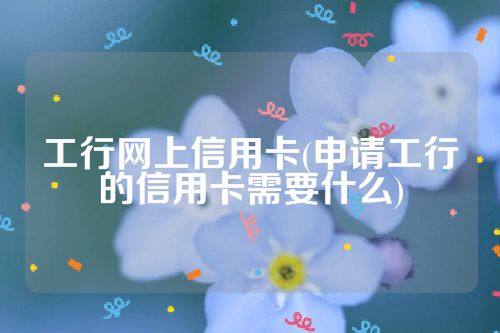 工行网上信用卡(申请工行的信用卡需要什么)