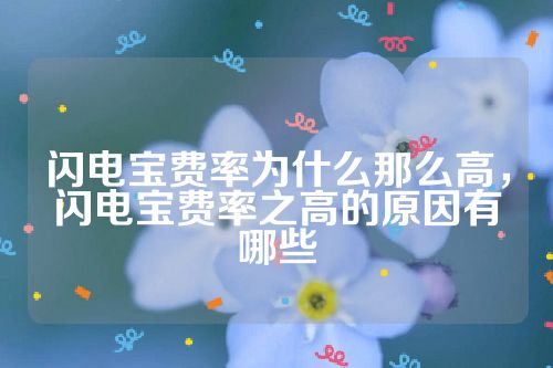 闪电宝费率为什么那么高，闪电宝费率之高的原因有哪些