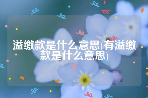 溢缴款是什么意思(有溢缴款是什么意思)