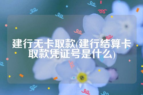 建行无卡取款(建行结算卡取款凭证号是什么)