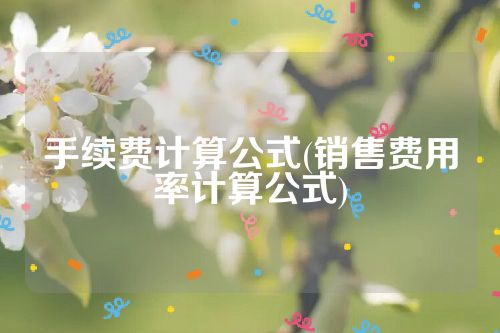 手续费计算公式(销售费用率计算公式)