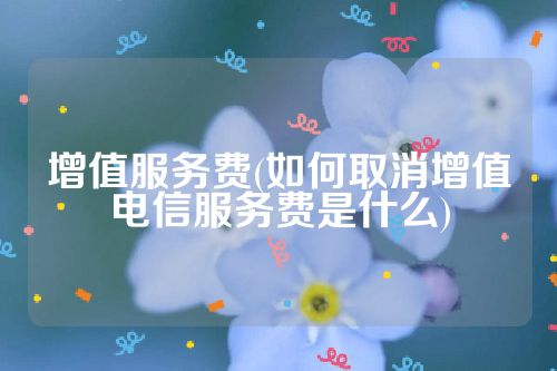 增值服务费(如何取消增值电信服务费是什么)