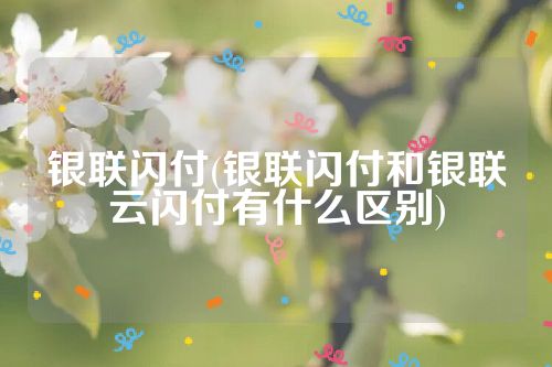 银联闪付(银联闪付和银联云闪付有什么区别)