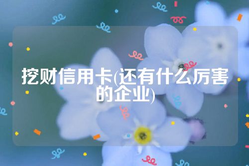 挖财信用卡(还有什么厉害的企业)