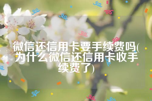 微信还信用卡要手续费吗(为什么微信还信用卡收手续费了)