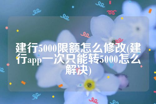 建行5000限额怎么修改(建行app一次只能转5000怎么解决)