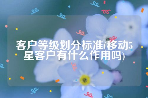 客户等级划分标准(移动5星客户有什么作用吗)