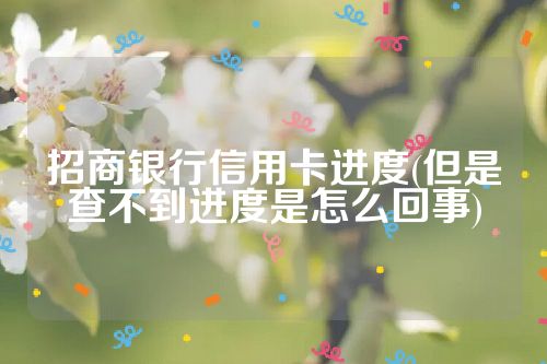 招商银行信用卡进度(但是查不到进度是怎么回事)