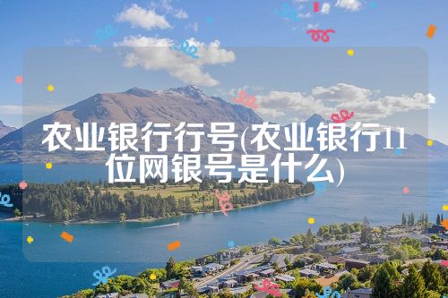 农业银行行号(农业银行11位网银号是什么)