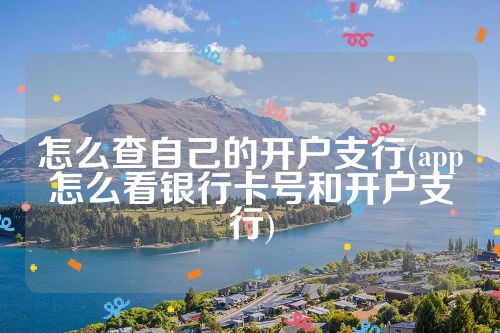 怎么查自己的开户支行(app怎么看银行卡号和开户支行)