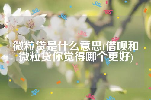 微粒贷是什么意思(借呗和微粒贷你觉得哪个更好)